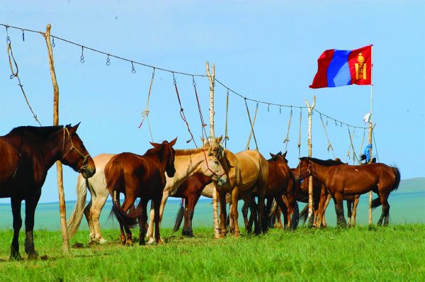 Уяачдын наадмын хөтөлбөрийг танилцуулъя